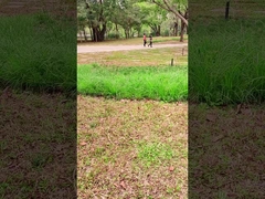 Tecnologia inovadora painel solar portátil de 100 W para aventuras ao ar livre